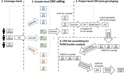 Copy Number Variation Identification on 3,800 Alzheimer’s Disease Whole Genome Sequencing Data from the Alzheimer’s Disease Sequencing Project